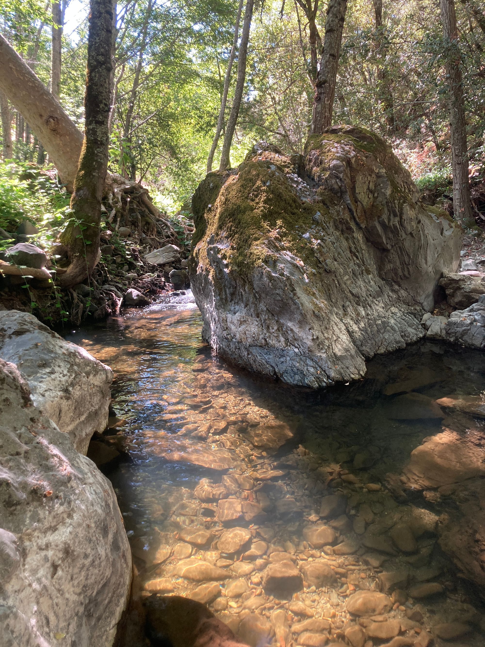 Tenkara: Minimalism while Fishing