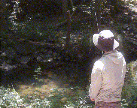 Discovering the Overlooked: Fishing a Hidden Creek in the SF Bay Area