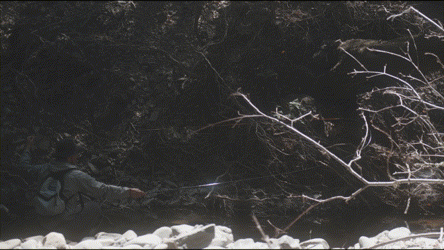Discovering the Overlooked: Fishing a Hidden Creek in the SF Bay Area