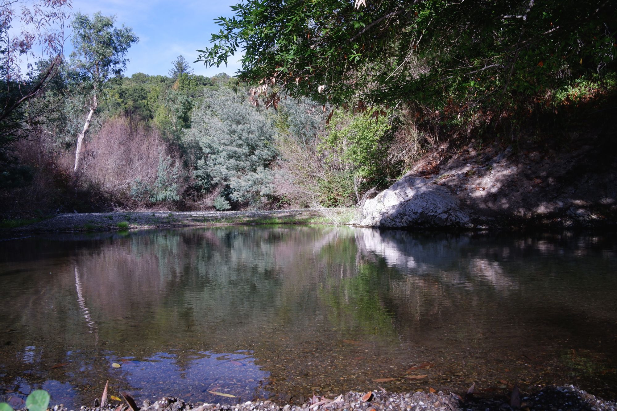 Tenkara Fly Fishing at Los Gatos Creek