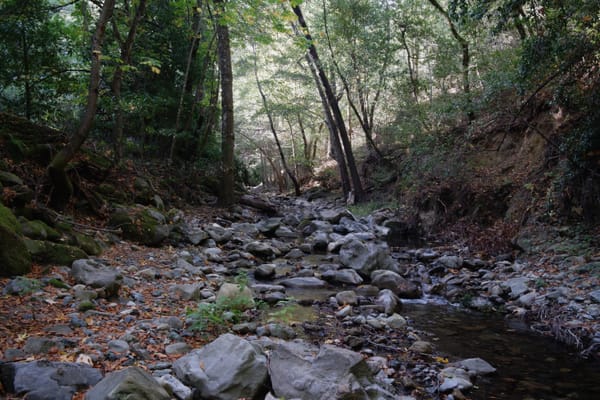 Tenkara fly fishing Stevens Creek