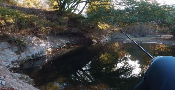 Tenkara fly fishing at Los Gatos Creek